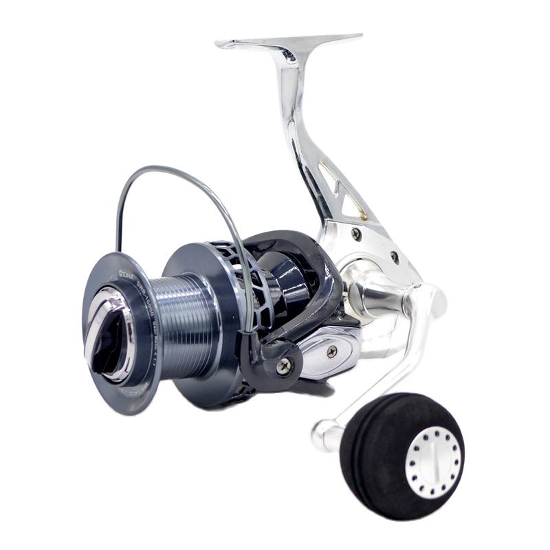 CAMEKOON 8000 9000 10000 Long  - Surf Reel recensie en prijs